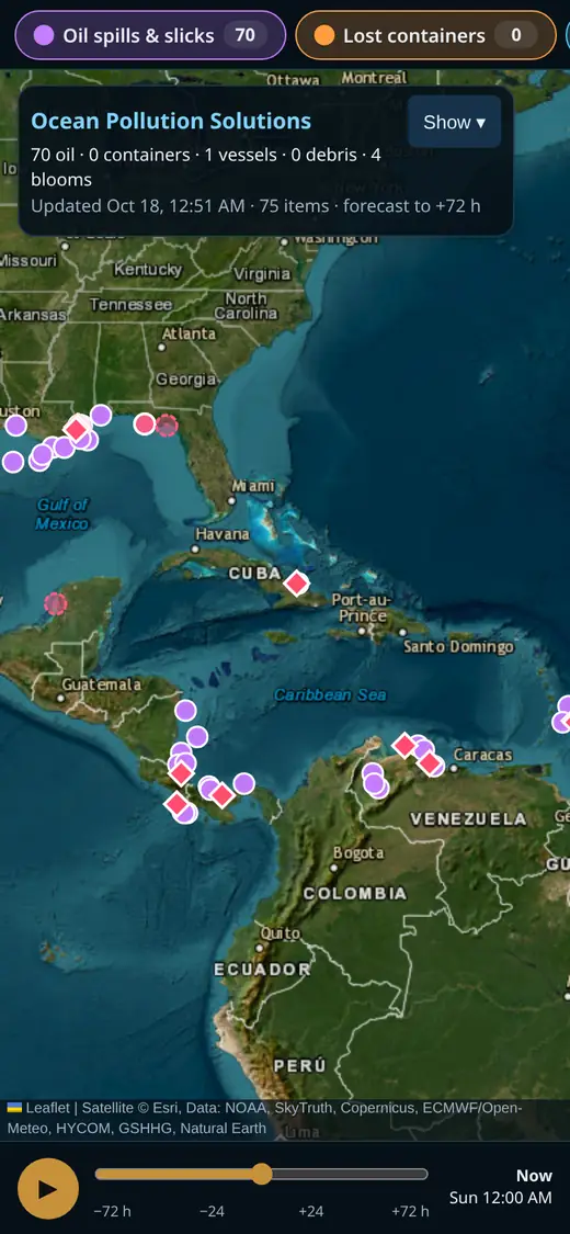 The map on a phone: possible oil slicks and algal blooms around the Gulf of Mexico and the Caribbean.